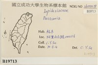 登錄號:B00019713藏品圖，第2張