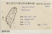 登錄號:B00019715藏品圖，第2張