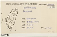 登錄號:B00019723藏品圖，第2張