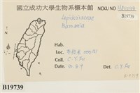登錄號:B00019739藏品圖，第2張