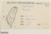 登錄號:B00019741藏品圖，第2張