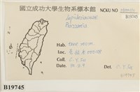 登錄號:B00019745藏品圖，第2張