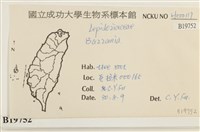登錄號:B00019752藏品圖，第2張
