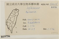 登錄號:B00019756藏品圖，第2張