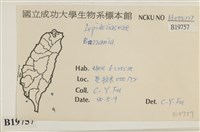 登錄號:B00019757藏品圖，第2張