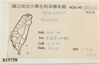 登錄號:B00019758藏品圖，第2張
