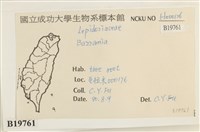 登錄號:B00019761藏品圖，第2張