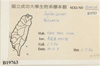 登錄號:B00019763藏品圖，第2張