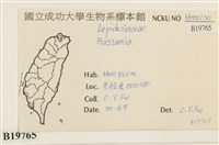 館號:B00019765藏品圖，第2張