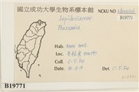 登錄號:B00019771藏品圖，第2張