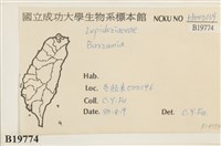 登錄號:B00019774藏品圖，第2張