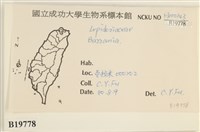 登錄號:B00019778藏品圖，第2張