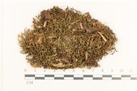 登錄號:B00019778藏品圖，第1張