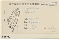 登錄號:B00019783藏品圖，第2張
