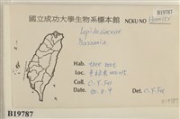 登錄號:B00019787藏品圖，第2張