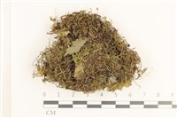 登錄號:B00019844藏品圖，第1張