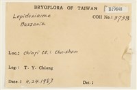 登錄號:B00019848藏品圖，第2張