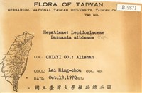 白鞭苔藏品圖，第2張