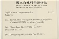登錄號:B00019923藏品圖，第2張