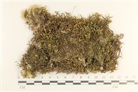 登錄號:B00019923藏品圖，第1張