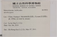 登錄號:B00019952藏品圖，第2張