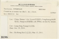 登錄號:B00019969藏品圖，第2張