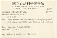 叢生真蘚藏品圖，第2張