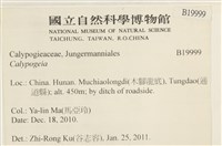 登錄號:B00019999藏品圖，第2張