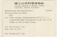 登錄號:B00020009藏品圖，第2張