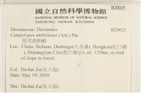 館號:B00020025藏品圖，第2張