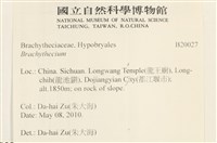 登錄號:B00020027藏品圖，第2張