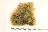 登錄號:B00020027藏品圖，第1張