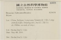 登錄號:B00020038藏品圖，第2張