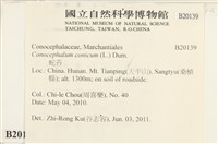 蛇苔藏品圖，第2張