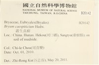 叢生真蘚藏品圖，第2張