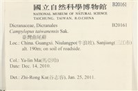 臺灣曲柄蘚藏品圖，第2張