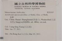 登錄號:B00020165藏品圖，第2張
