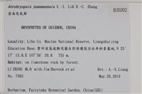 雲南灰氣蘚藏品圖，第2張