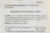 登錄號:B00020207藏品圖，第2張