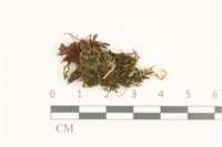 登錄號:B00020207藏品圖，第1張