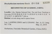 登錄號:B00020208藏品圖，第2張
