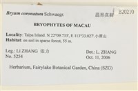 蕊形真蘚藏品圖，第2張