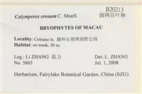 登錄號:B00020213藏品圖，第2張