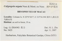 刺葉護蒴苔藏品圖，第2張