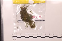 登錄號:B00020220藏品圖，第1張