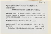 短肋雉尾蘚藏品圖，第2張