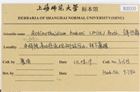 登錄號:B00020320藏品圖，第2張