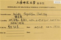 鞭枝懸蘚藏品圖，第2張