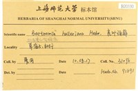 登錄號:B00020330藏品圖，第2張
