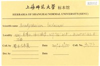 細枝青蘚藏品圖，第2張